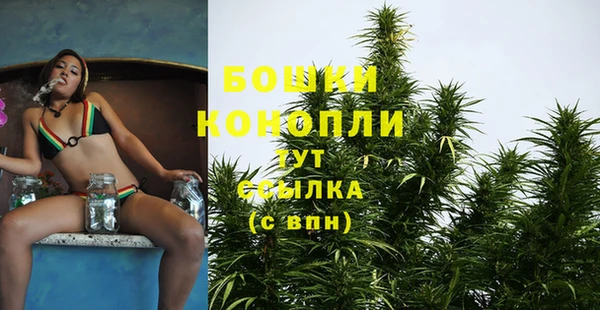 индика Кропоткин
