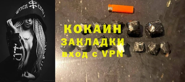 индика Кропоткин