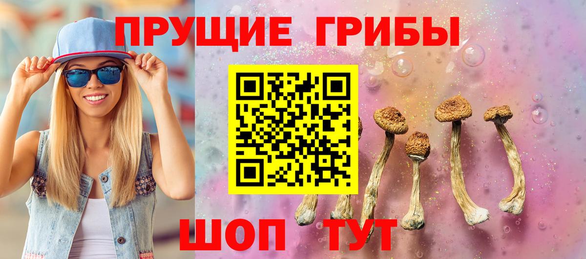 Галлюциногенные грибы прущие грибы Протвино