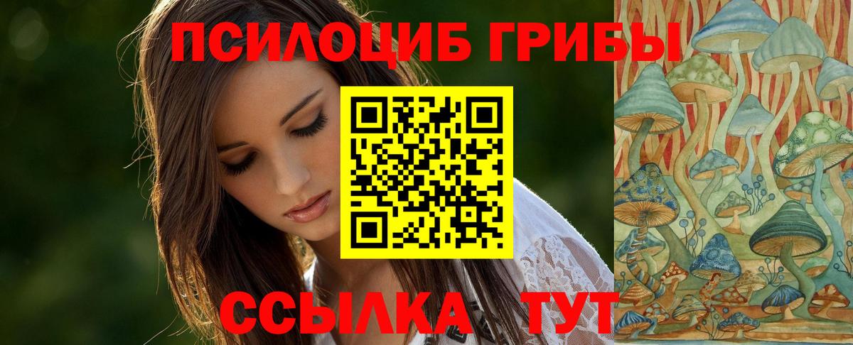 Псилоцибиновые грибы мицелий  Вход с VPN  Протвино 